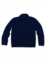 Navy (PMS 5395C)