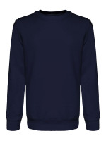 Navy (PMS 5395C)