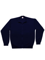 Navy (PMS 5395C)